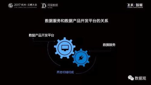 阿里數(shù)據(jù)服務(wù)產(chǎn)品開(kāi)發(fā)及大數(shù)據(jù)體系 實(shí)錄 ppt干貨