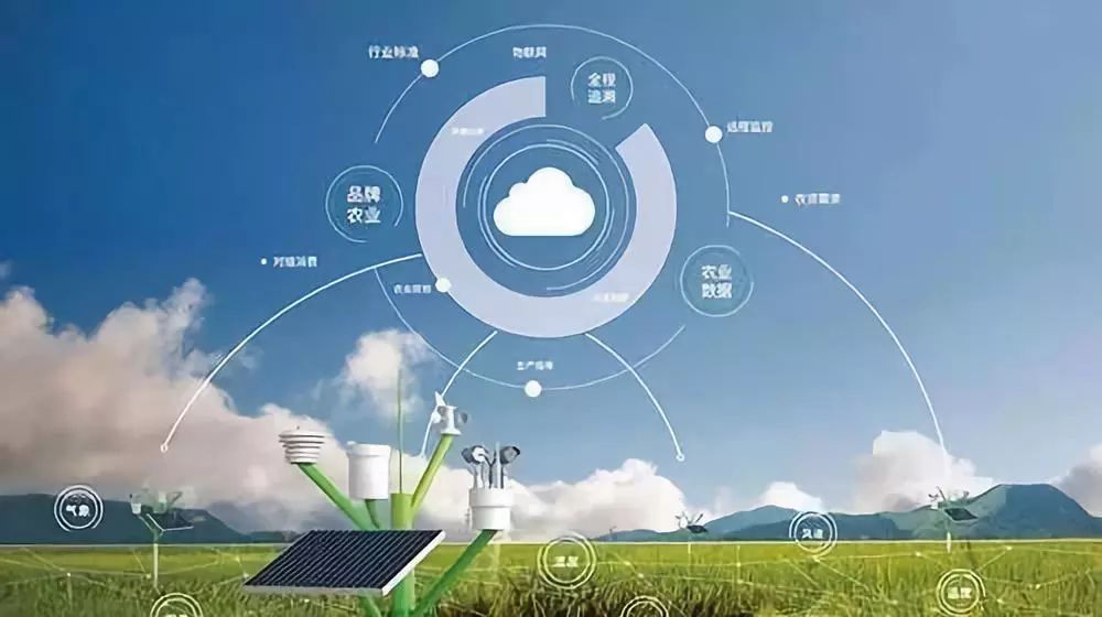 數據賦能，智慧興農 大數據為鄉村振興注入新動能
